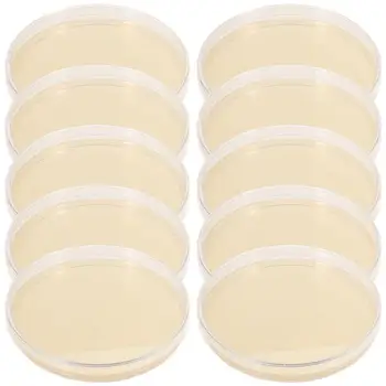 10db Agar Petri csészék Szövetkultúra Előre öntött agar lemezek Agar lemezek laboratóriumi tudományos kísérleti kellékek